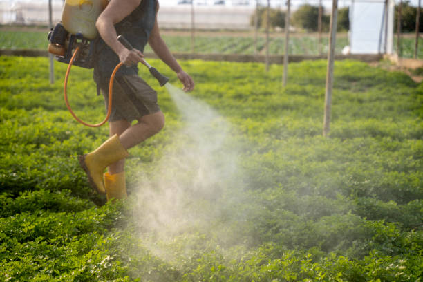 Reliable Pleasant Grove, UT Pest Control Solutions