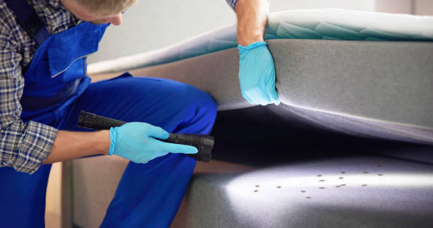 Best Best Pest Control Companies  in Pleasant Grove, UT