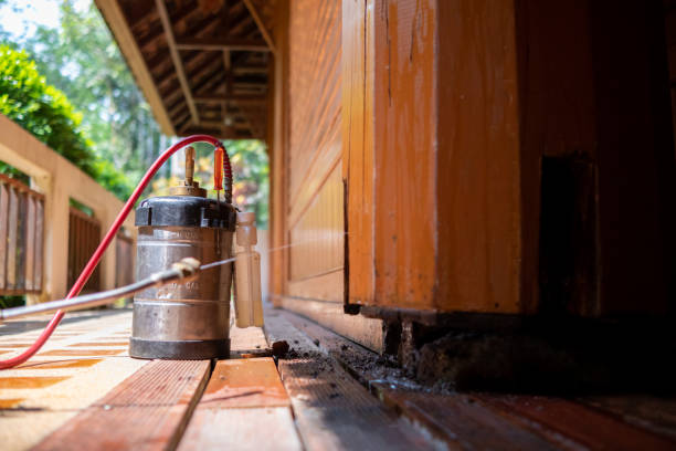 Best Termite Control Services  in Pleasant Grove, UT